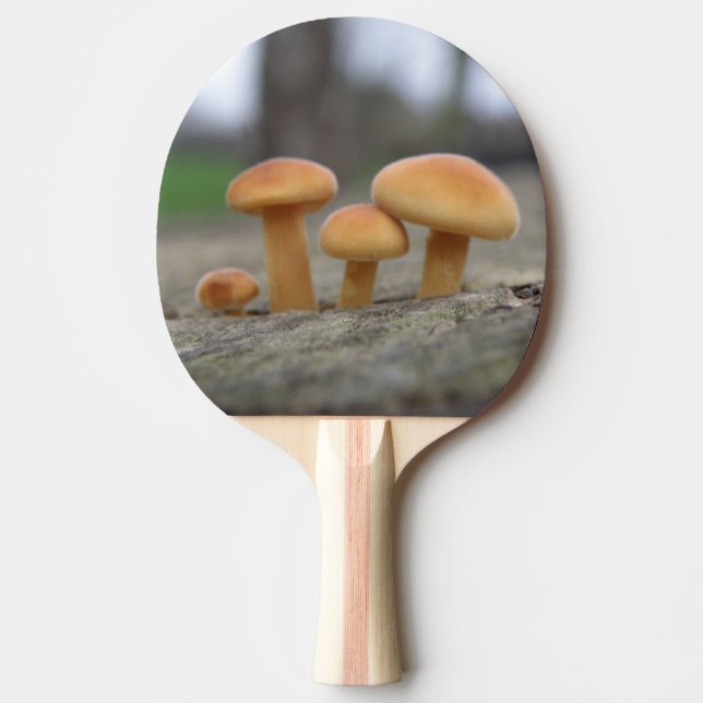 Tiny Toadstools Macro Ping Pong Paddle Pingisracket (Framsidan)