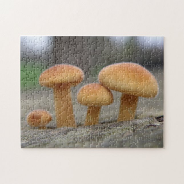 Tiny Toadstools Macro Puzzle Pussel (Horisontell)