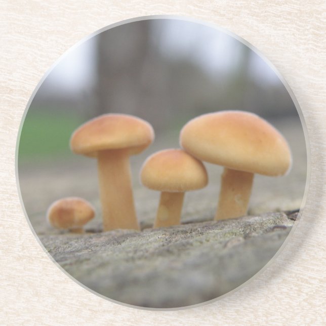 Tiny Toadstools Macro Underläggs Underlägg Sandsten (Framsidan)