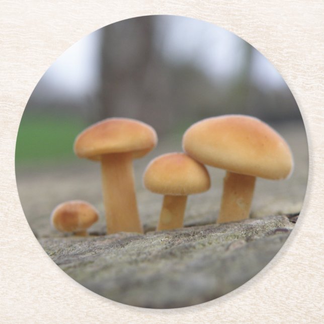 Tiny Toadstools Makro Papper Underlägg Rund (Framsidan)