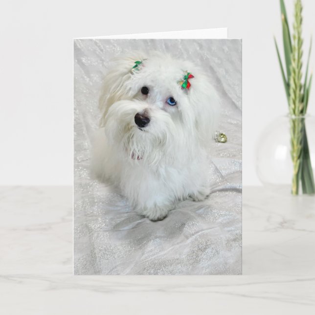 Tiny Treasure Kort (Framsida)