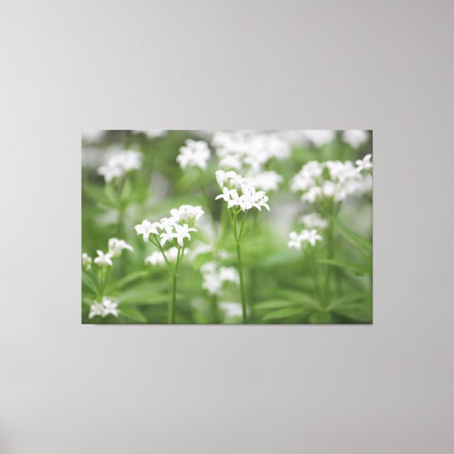 Tiny White Blommigt Canvas (Framsida)