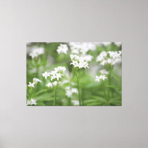 Tiny White Blommigt Canvas