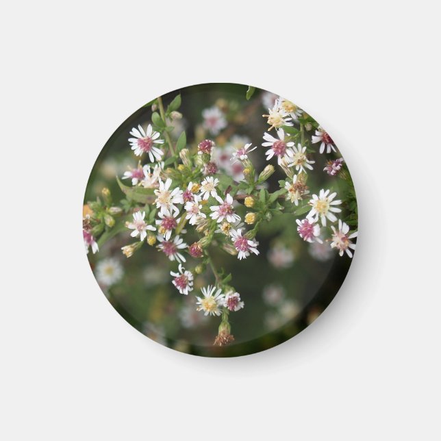 Tiny White Flowers Magnet (Framsidan)