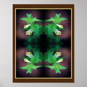 Tiny White Wildblomma Close Up Spegel Abstrakt Poster