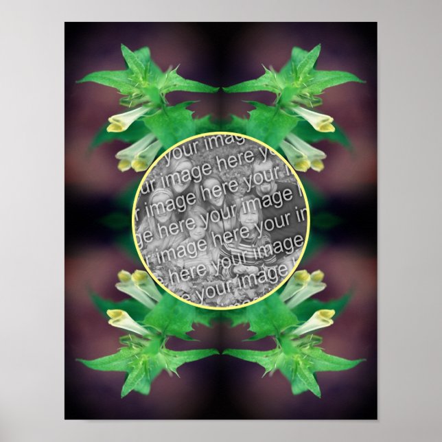 Tiny White Wildblomma Ram Skapar ditt eget foto Poster (Framsidan)