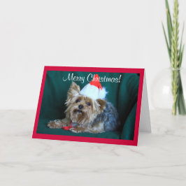 Tiny Yorkie i Santa Hat Helgkort