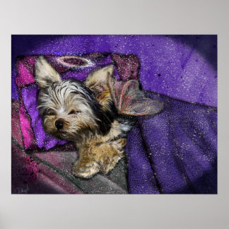 Tiny Yorkie Sleeping Angel Vingar & Halo Poster