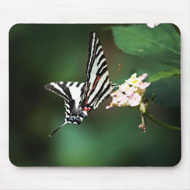 Tiny Zebra Mousepad Musmatta (Framsidan)