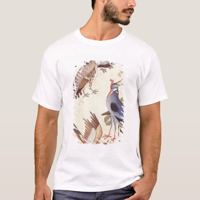 Tio fåglar t-shirt (Framsida)