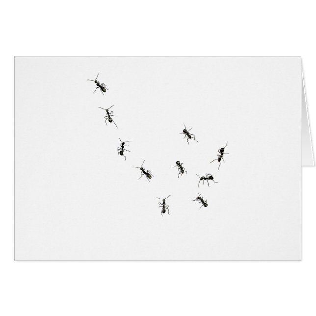 tio liter hälsningskort (Framsidan Horizontal)