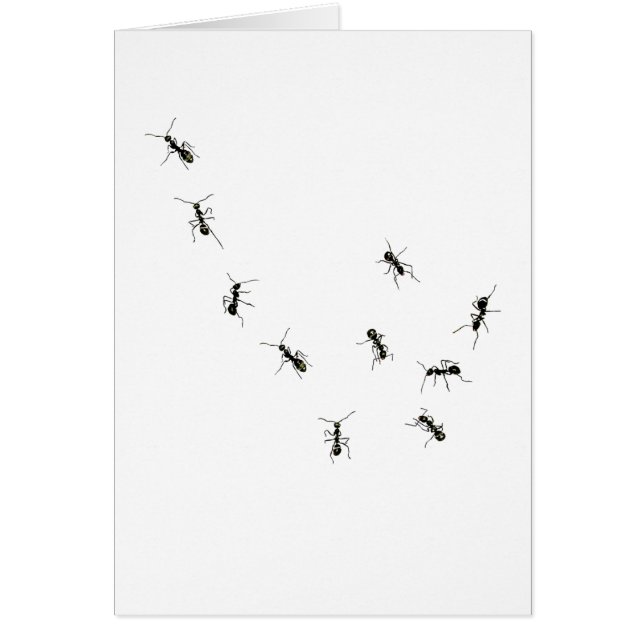 tio liter hälsningskort (Framsidan)