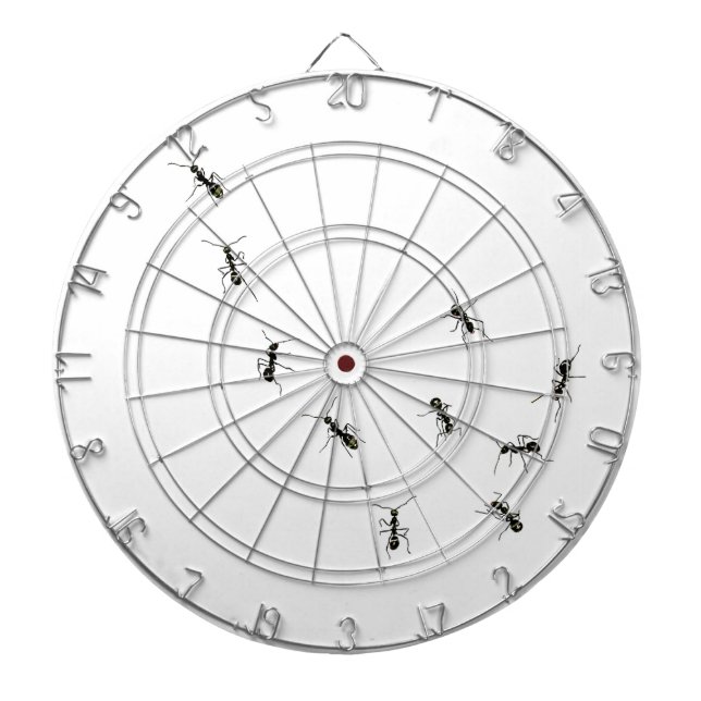 tio liter piltavla (Framsidan)