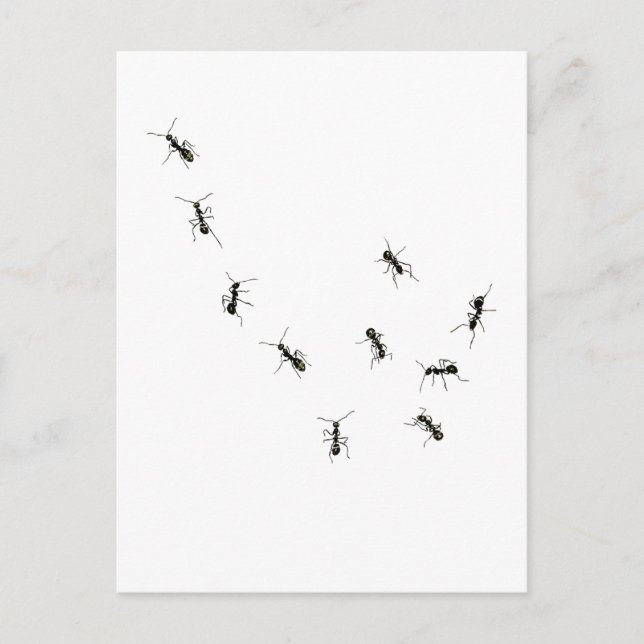 tio liter vykort (Framsida)