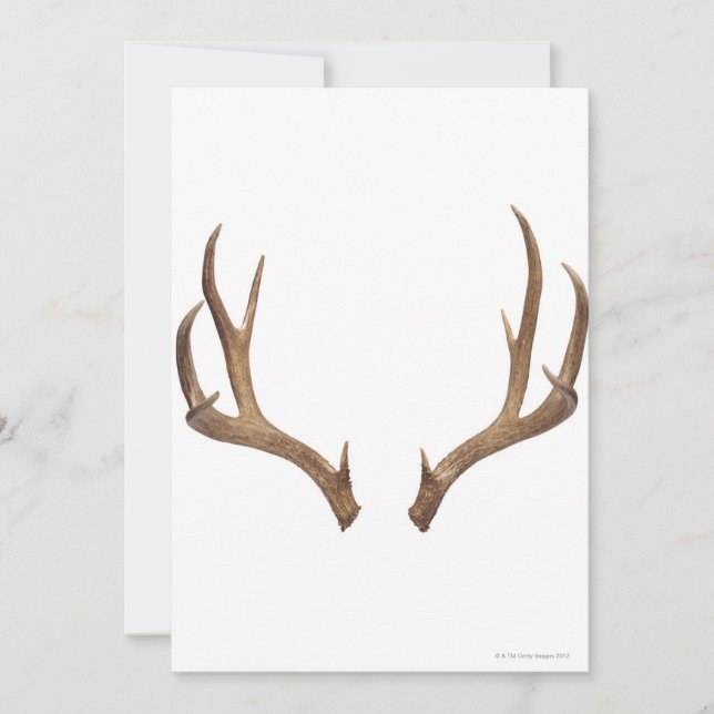 Tio poäng, Hjort (Framsida)