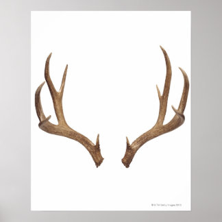 Tio poäng, Hjort Poster