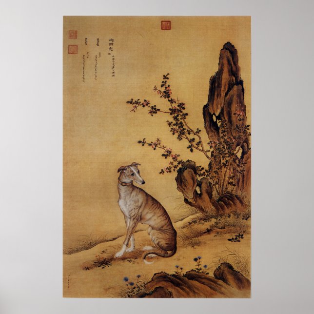 Tio Prized Hundar - Banjinbiao (kinesisk greyhound Poster (Framsidan)