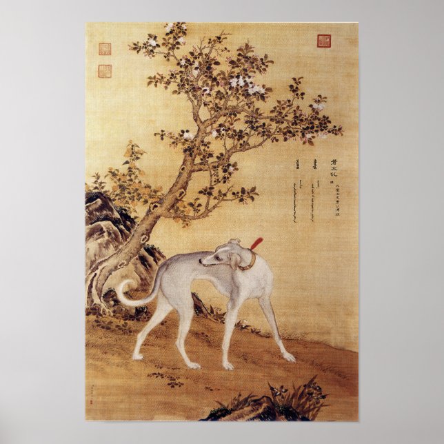 Tio Prized Hundar - Cangshuiqiu (kinesisk greyhoun Poster (Framsidan)