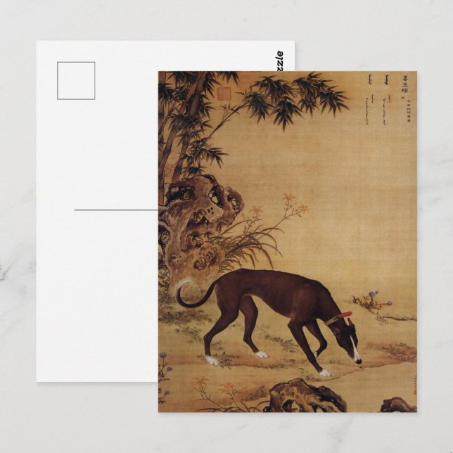 Tio prized Hundar - Moyuli (kinesisk greyhound) Vykort (Fram/baksida)