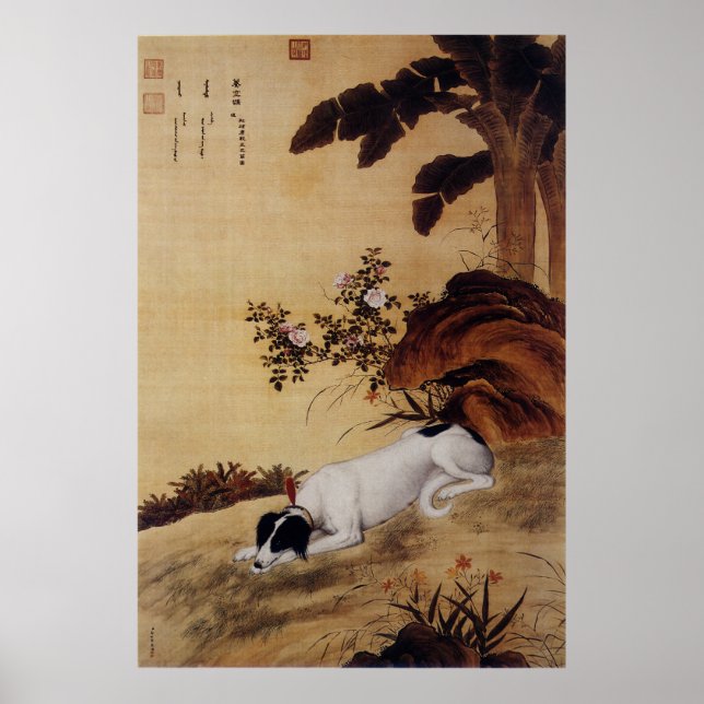Tio prized Hundar - Mukongque (kinesisk greyhound) Poster (Framsidan)