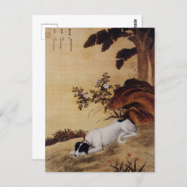 Tio prized Hundar - Mukongque (kinesisk greyhound) Vykort