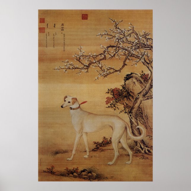 Tio Prized Hundar - Shuanghuayao (kinesisk greyhou Poster (Framsidan)