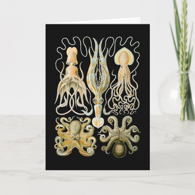 Tioarmad bläckfisk & bläckfisk kort (Framsida)