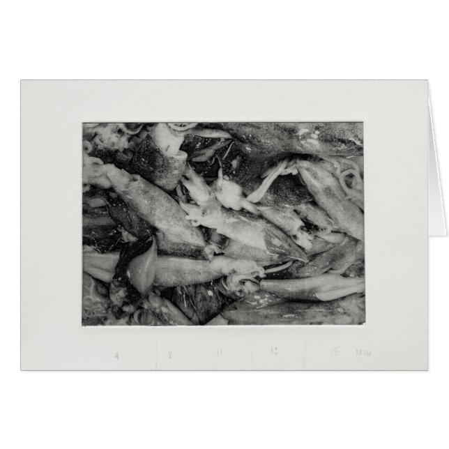 Tioarmad bläckfisk hälsningskort (Framsidan Horizontal)