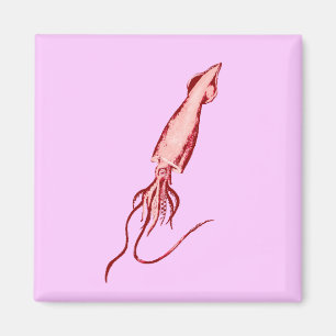 tioarmad bläckfisk magnet