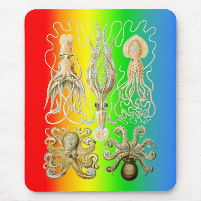 Tioarmad bläckfisk och Octopods Musmatta (Framsidan)