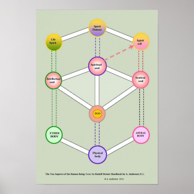 Tiofaldig människa poster (Framsidan)