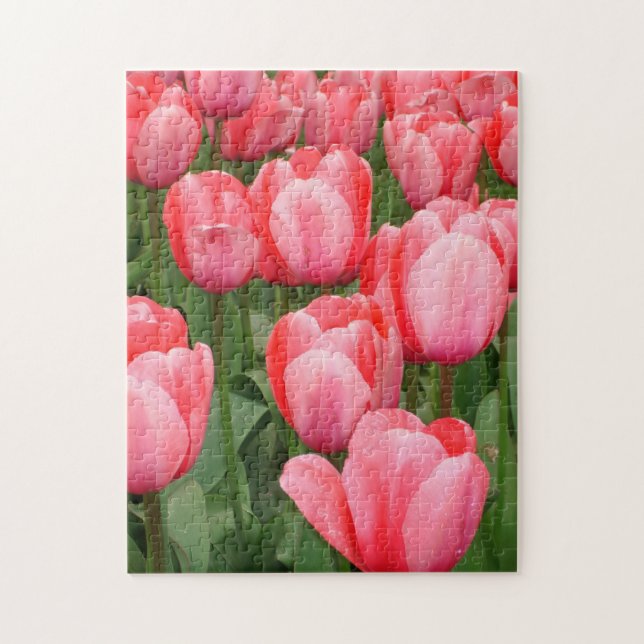 Tip Toe Thru the Tulips Puzzle, 11" x 14", 252 pcs Pussel (Vertikal)