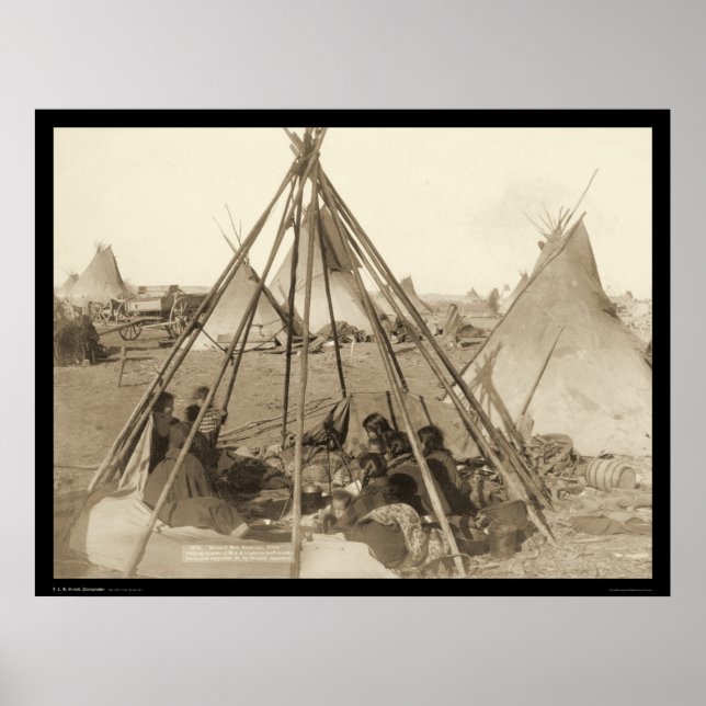 Tipi av American Horse SD 1891 Poster (Framsidan)