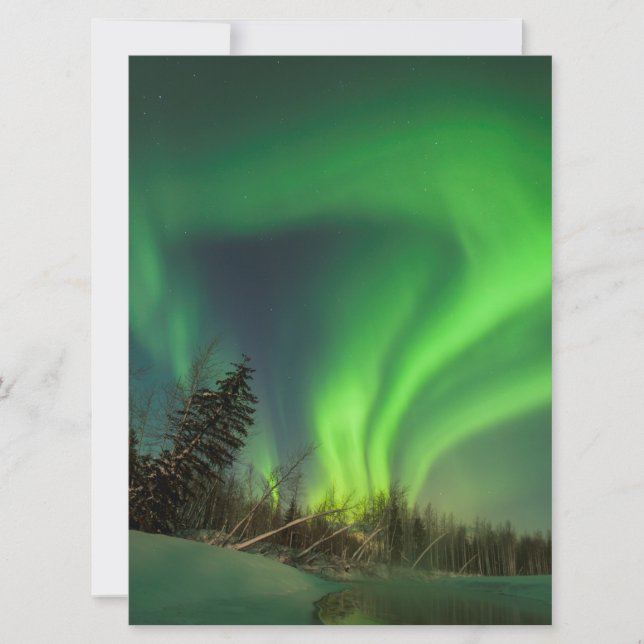 Tipping Spruce Aurora (Framsida)