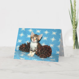 Tippy's Winter pinecones - Cat / Kitten Jul Helgkort