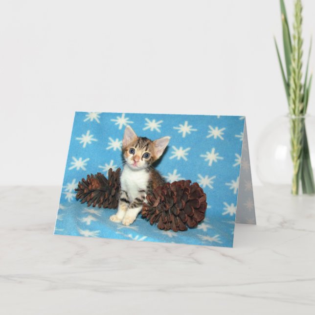 Tippy's Winter pinecones - Cat / Kitten Jul Helgkort (Framsida)