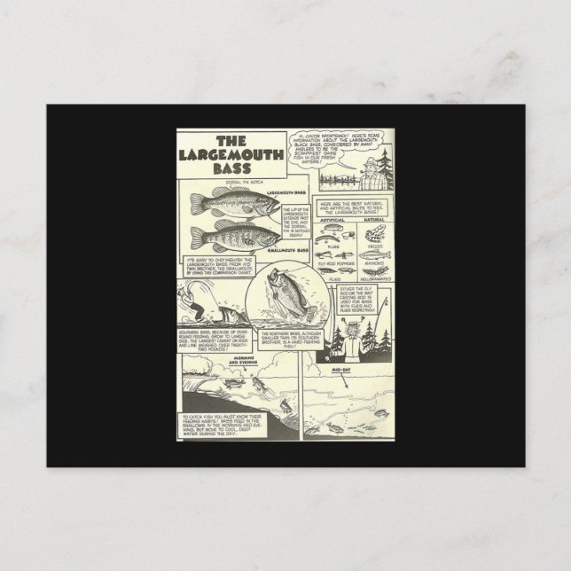 Tips för Tecknaden Bok Bass Baits Cute Vykort (Framsida)
