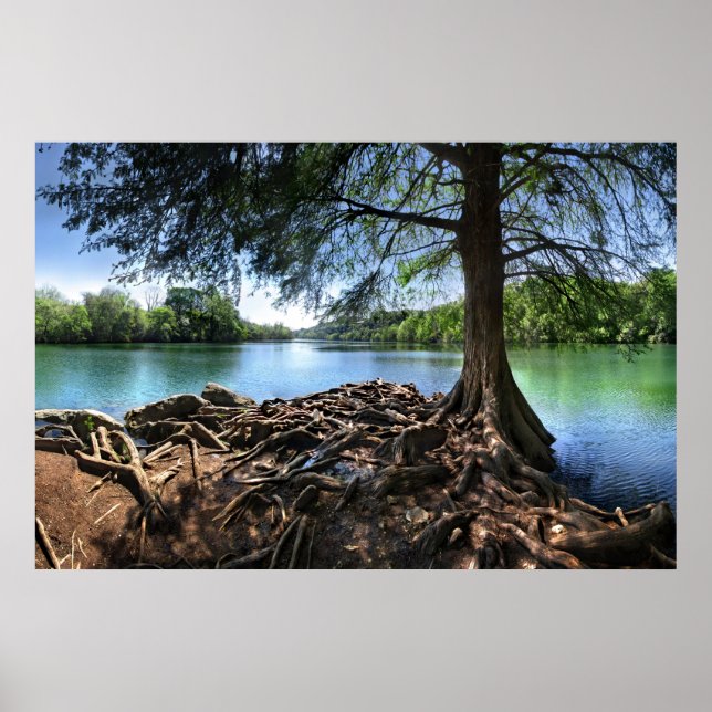 Tips om RedBud Isle på LadyBird Sjö - Austin TX Poster (Framsidan)