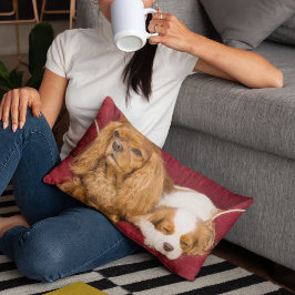 Tired Cavalier Kung Charles spanels Lumber Pillow Lumbarkudde