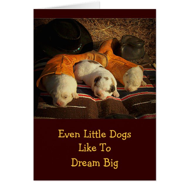 Tired Cowboyvalpar Hälsningskort (Framsidan)