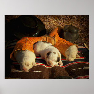 Tired Cowboyvalpar Poster