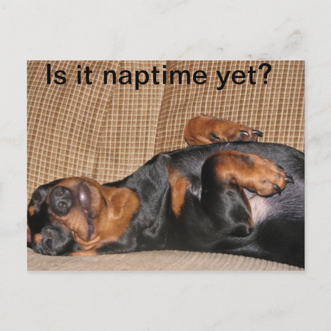 Tired Dachshund Vykort (Framsida)