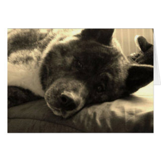 Tired Inca Hälsningskort