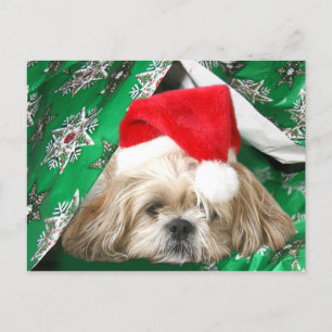 Tired jul Shih Tzu Helg Vykort