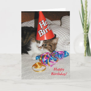 Tired Kattunge i Hat Biethday Card Kort