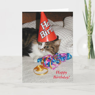 Tired Kattunge i Hat Biethday Card Kort