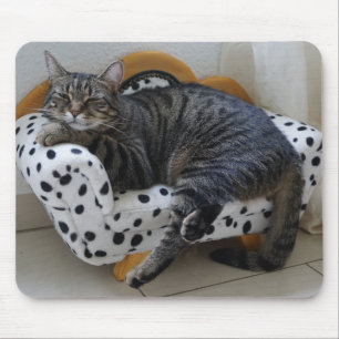 Tired kattunge musmatta
