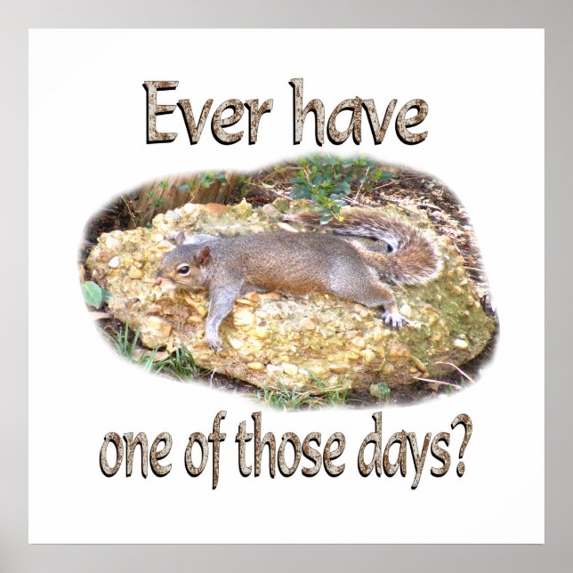 Tired Squirrel Poster (Framsidan)