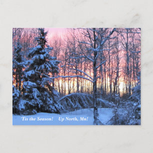 "Tis the Season Up North, Mn Winter Helgdag Vykort