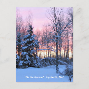 "Tis the Season Up North, Mn Winter Helgdag Vykort